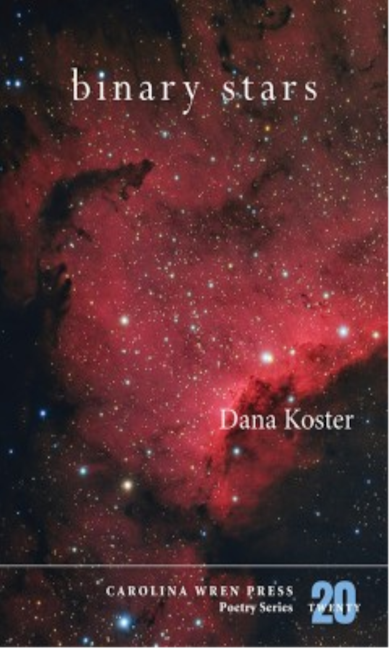 Book cover image for Binary Stars ISBN: 9780932112804